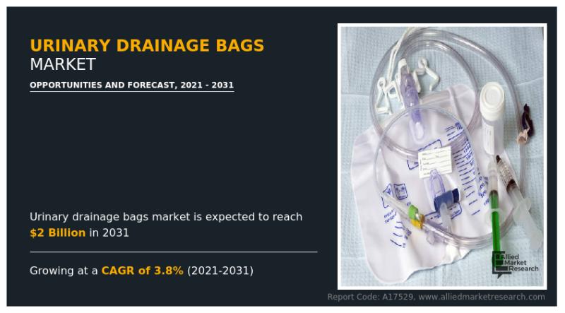 Global Urinary Drainage Bags Market: Trends, Growth, and Insights to 2031