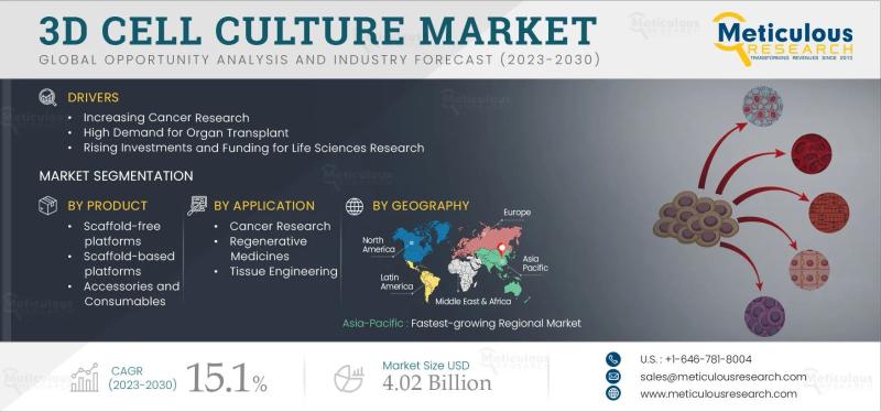 3D Cell Culture Market to Reach USD 3.72 Billion by 2031 Driven by Advancements in Tissue Engineering and Regenerative Medicine