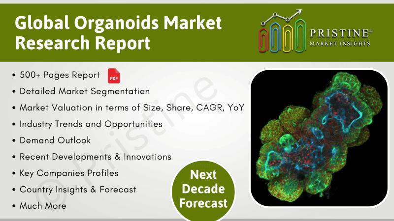Organoids Market Size, Trends by Region (North America, Latin America, Europe, Asia, MEA)