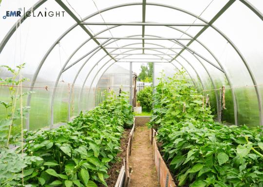 Cover Glass Market Size & Share | Growth Report - 2034