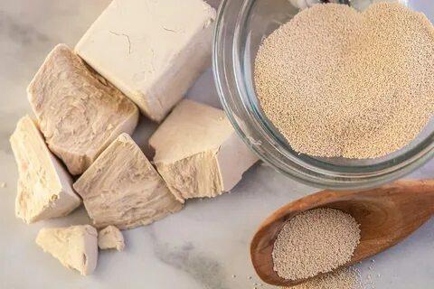 Fast Action Dry Yeast Outlook Market Is Booming So Rapidly | Lessaffre Group, AB Mauri, Lallemand