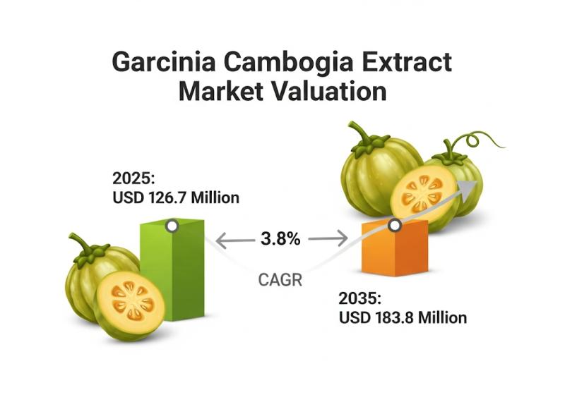 Garcinia Cambogia Extract Market Size and Share Forecast Outlook 2025 to 2035: Growth analytics with NutraValley Biotech, Inc., Jiaherb, Inc., St.Botanica, Natrol, Global Health Ideas, NOW Foods, Top Secret Nutrition, Naturabest, BioGanix, Nature Wise, Po