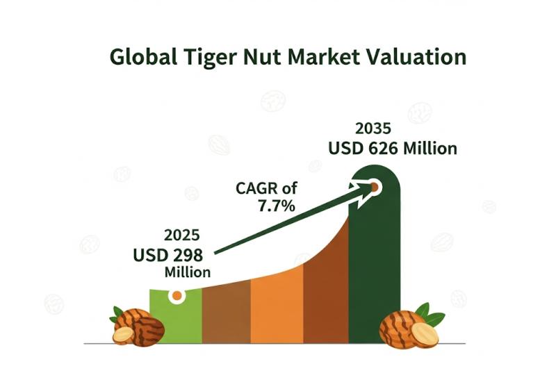Tiger Nut Market Size and Share Forecast Outlook 2025 to 2035: Performance diagnostics with The Chufa Original Company, Rapunzel Naturkost, Pamela's Products, Organic Gemini, Henry Lamotte Services GmbH, Ecoideas, Tigernuts Traders S.L., Tiger Nuts USA.