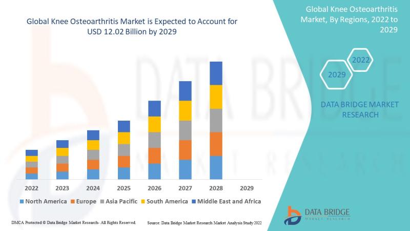 Knee Osteoarthritis Market to Grasp Outstanding Growth of USD 12.02 billion by 2029, Size, Share, Trends, Opportunities, Key Driv