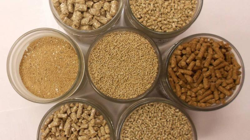 Phytobiotics Palatants Market Trends 2025 to 2035: Strategic Developments with Aromex, Ayurvet Limited, Pancosma SA (ADM), De lacon Biotechnik GmbH (Cargill), Phytobiotics Futterzusatzstoffe GmbH