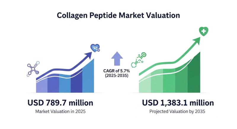 Collagen Peptide Market Forecast and Outlook 2025 to 2035: Key findings for expansion with Danish Crown, Junca Gelatines S.L., Lapi Gelatine S.p.A., Capsugel,Tessenderlo Group, Nitta Gelatin Inc., Gelita AG, Darling Ingredients Inc.