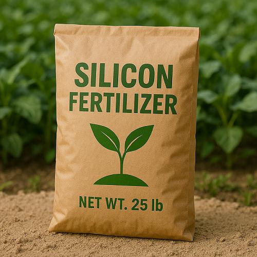 Silicon Fertilizer Market Hits New High | Major Giants BASF SE,Mosaic,MaxSil