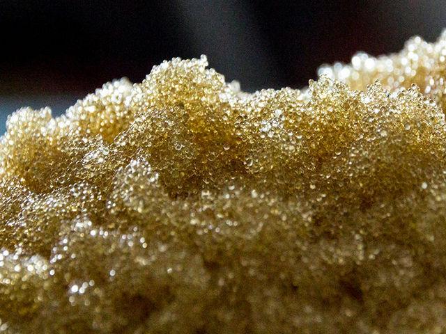 Ion Exchange Resins Market Key Players Evoqua Water Technologies, Ion Exchange (India) Ltd., Pure Resin Co., Ajinomoto Fine-Techno Co., Novasep Holding, Hebi Higer Chemical, Samyang Corporation