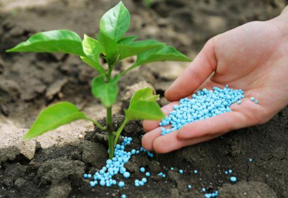 Agriculture Dyes and Pigments Market Outlook: Size, Share, Growth Analysis | Top Companies are BASF SE, Clariant AG, DIC Corporation.