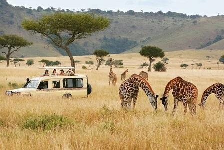 Luxury Safari Tourism