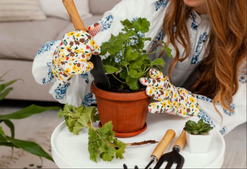Top 10 Suppliers of Artificial Plants In China: Why Yongnuo's