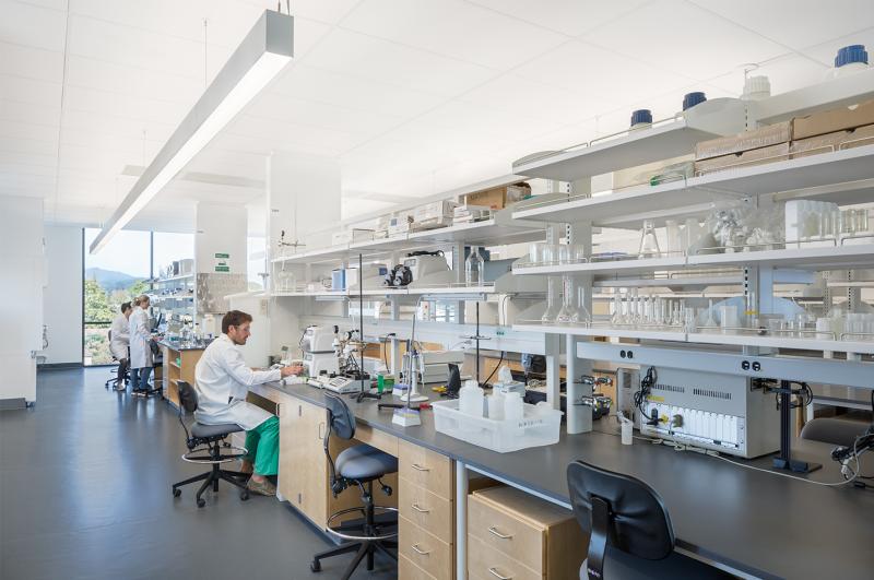 Laboratory Supplies Market Projected to Exceed USD 100 Billion by 2035 Amid Global R&D Surge and Key Players New World Imports., Prime Dental Manufacturing, Den-Mat Holdings LLC. and Others