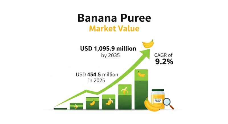 Banana Puree Market Size, Share, and Forecast Outlook 2025 to 2035: Development insights withLaFruitière du Val Evel, Shimla Hills Offerings Pvt. Ltd., Kiril Mischeff Ltd., AGRANA Beteiligungs-AG, Tree Top Inc., The Kraft Heinz Company, Nestlé S.A., S