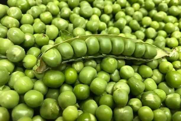Organic Pea Protein Market Set for Robust Growth Amid Rising Demand for Plant-Based Nutrition