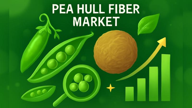 Pea Hull Fiber Market Hits New High | Major Giants Roquette Frères, Ingredion, AGT Food and Ingredients