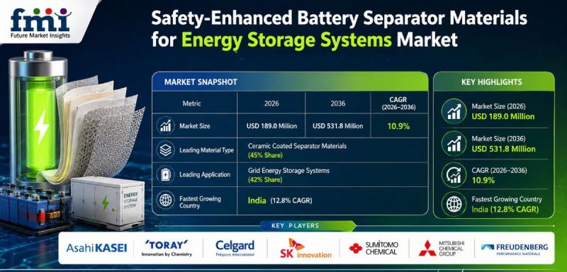 Safety-Enhanced Battery Separator Materials for Energy