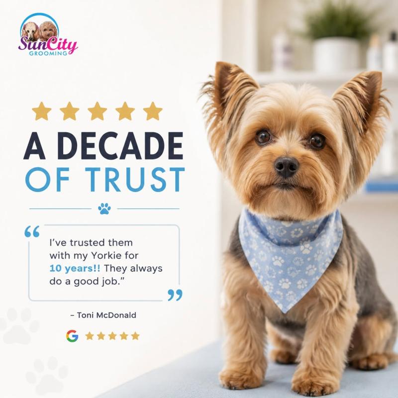 Sun City Grooming your Senior Grooming Specialist