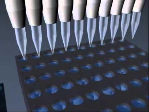 Microarrays Market to Reach US$ 7.5 Billion by 2032, Driven by Advances in Genomic Research - Persistence Market Research
