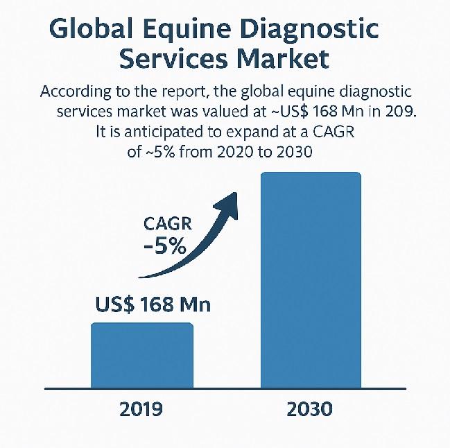 Equine Diagnostic Services Market Outlook 2030: From US$ 168 Million in 2019 to US$ 280 Million by 2030, Driven by Rising Equine Diseases and Diagnostic Advancements