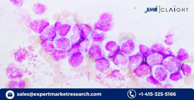 Acute Myeloid Leukemia Treatment Market: Global Trends, Opportunities, and Forecast 2025-2034