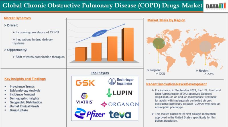 Chronic Obstructive Pulmonary Disease Drugs Market 2025 | Leading Players, Innovations & Regional Expansion
