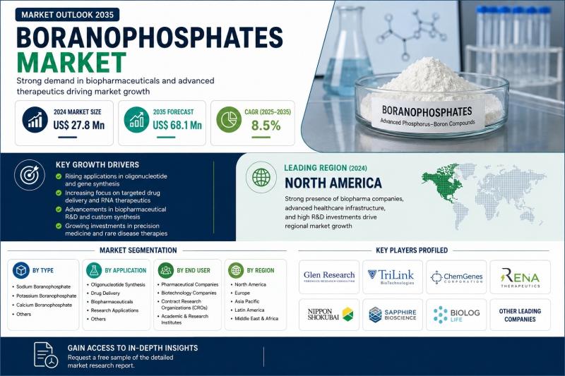 Boranophosphates Market
