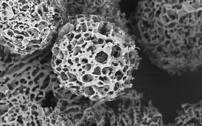 Biomaterials Market Surges from US$ 112 Bn in 2021 to US$ 470 Bn by 2032 - Persistence Market Research