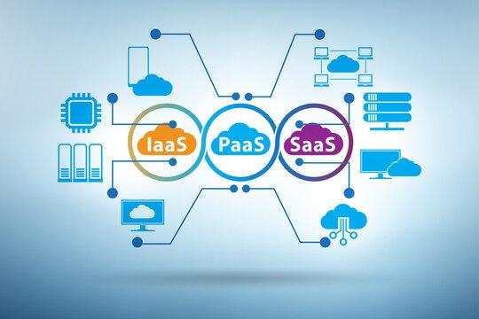 SMBs & Startups Fueling the Next Wave of Platform as a Service (PaaS) Market Growth 2025-2032