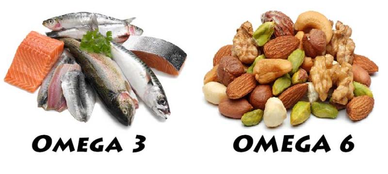 Omega-6 Market Grows with Rising Demand for Functional Nutrition, Plant-Based Supplements, and Expanding Applications in Food, Pharma, and Personal Care Sectors