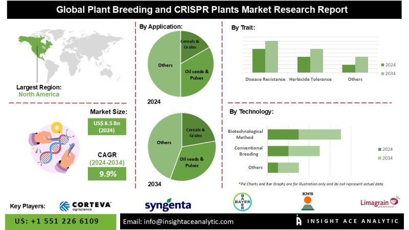 Plant Breeding and CRISPR Plants Market Expansion Fueled by Regulatory Reforms and R&D Investment