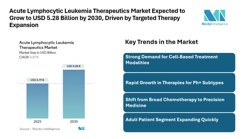 Acute Lymphocytic Leukemia Therapeutics Market Expected to Grow to USD 5.28 Billion by 2030, Driven by Targeted Therapy Expansion