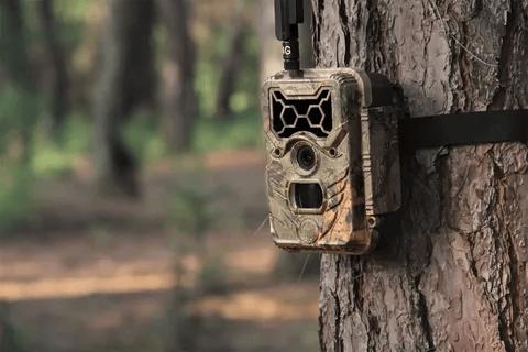 Trail Cameras Market Forecast to 2031: Trends, Key Players, and Regional Insights