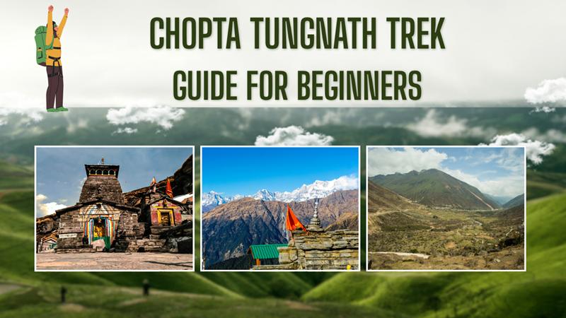 Chopta tungnath trek guide for beginners