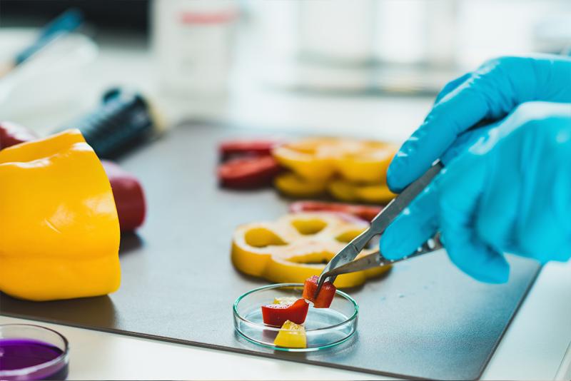 Global Food Authentication Testing Market Outlook: Premium Quality, Safety & Traceability Trends To 2031