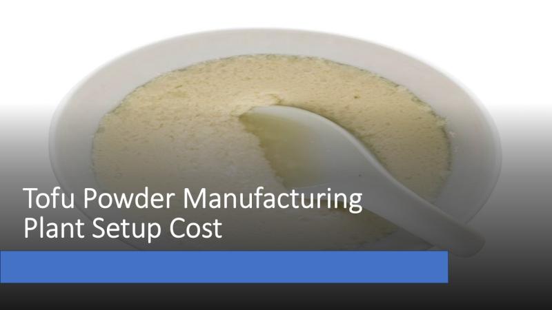 Tofu Powder Manufacturing Plant Setup Cost 2025: Industry Analysis and Business Plan