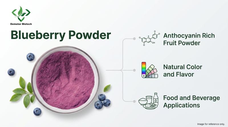 Demeterherb: Pure Blueberry Powder Supplier from China with