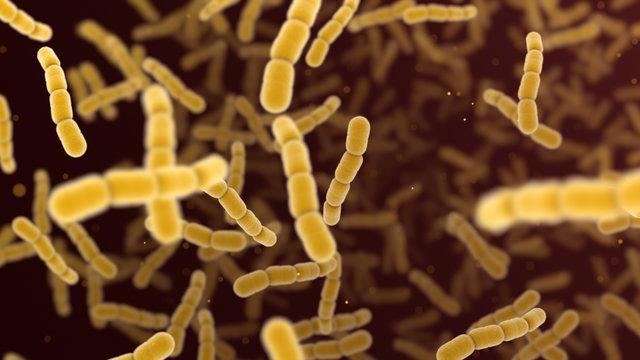 Group B Streptococcus Market Gains with Maternal Vaccination Trials & Japan's Perinatal Care Standards | Pfizer Inc, MinervaXApS, Wellstat Vaccines LLC, GlaxoSmithKline