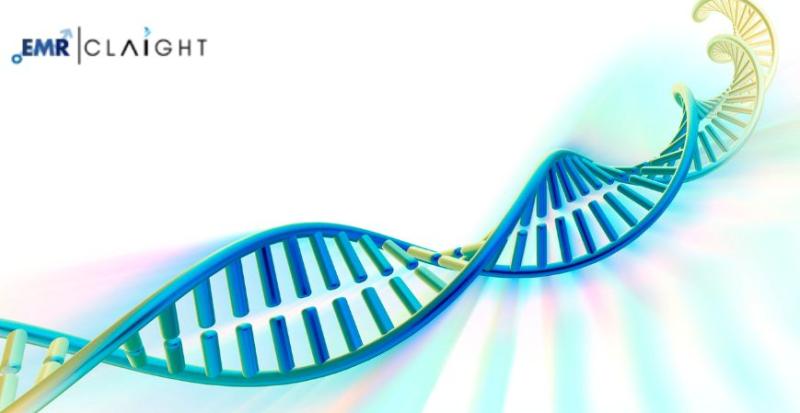 Why is nucleic acid labeling market rising from $5.58Bn to 2034?