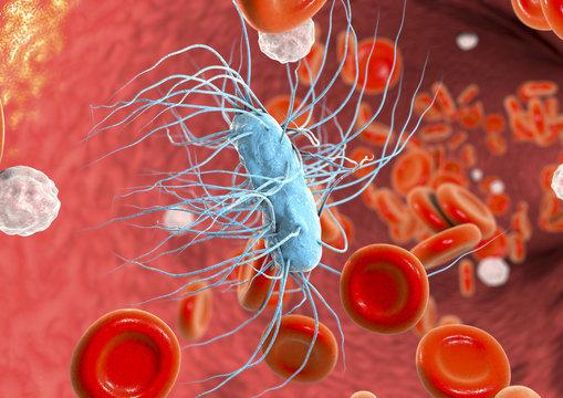 Bacteremia Market Expands on Drug-Resistant S. aureus Therapies & Japan's Aging Demographic | Pfizer, Pherecydes Pharma, Baxter, Novartis AG