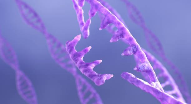 RNAi Technology Market to Reach New Heights by 2035 | Driving Innovations in Gene Silencing & Therapeutics