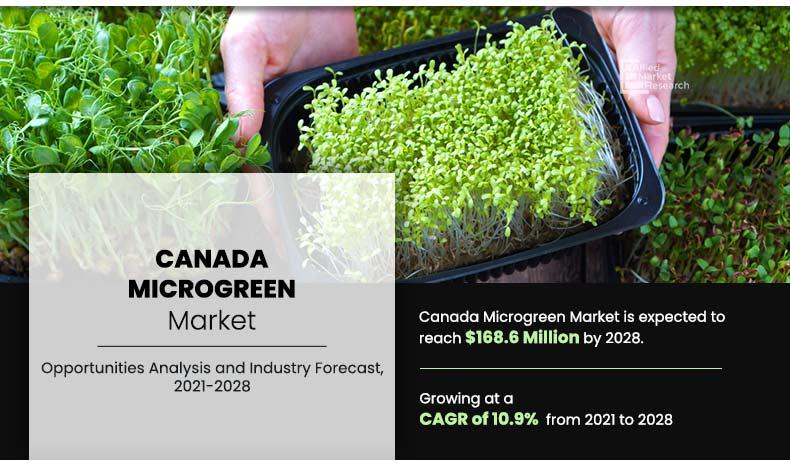 The Canada microgreens market, valued at $99.3 million in 2019, is projected to grow at a CAGR of 10.9% to reach $168.6 million by