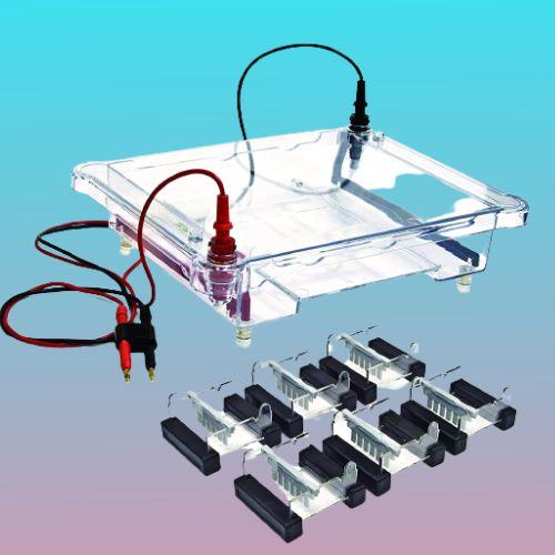 Gel Electrophoresis Equipment Market Statistical Forecast,