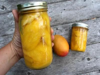 Canned mango market could see groundbreaking growth