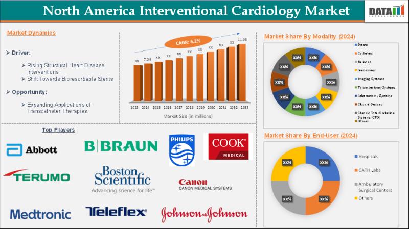 North America Interventional Cardiology Market Booming, Attracts Innovation in Stent Technology | Medtronic, Terumo Corporation, Boston Scientific Corporation, Abbott