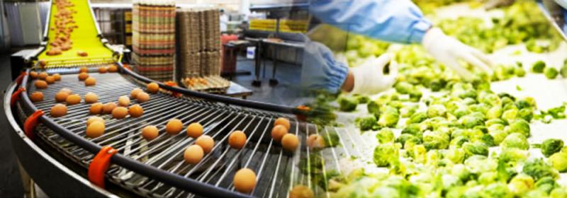 Food Processing & Handling Equipment Market | Top Companies & Investment Guide