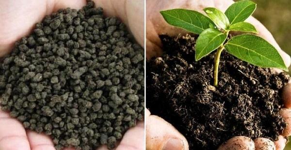 Biofertilizers Market