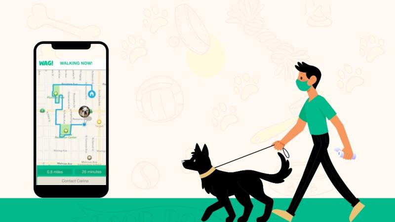 The market for dog walking services is growing in popularity and