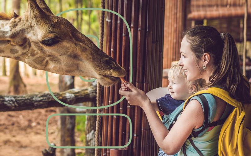 Zoo Software Market May Set a New Growth Story | OERCA, Explorer Systems, Species360