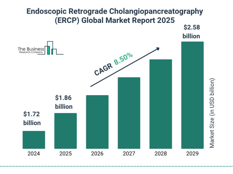 Endoscopic Retrograde Cholangiopancreatography (ERCP) Market