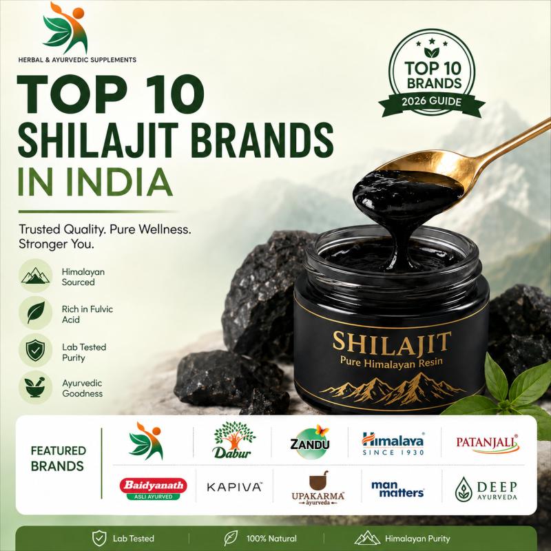 Top 10 Shilajit Brand in India